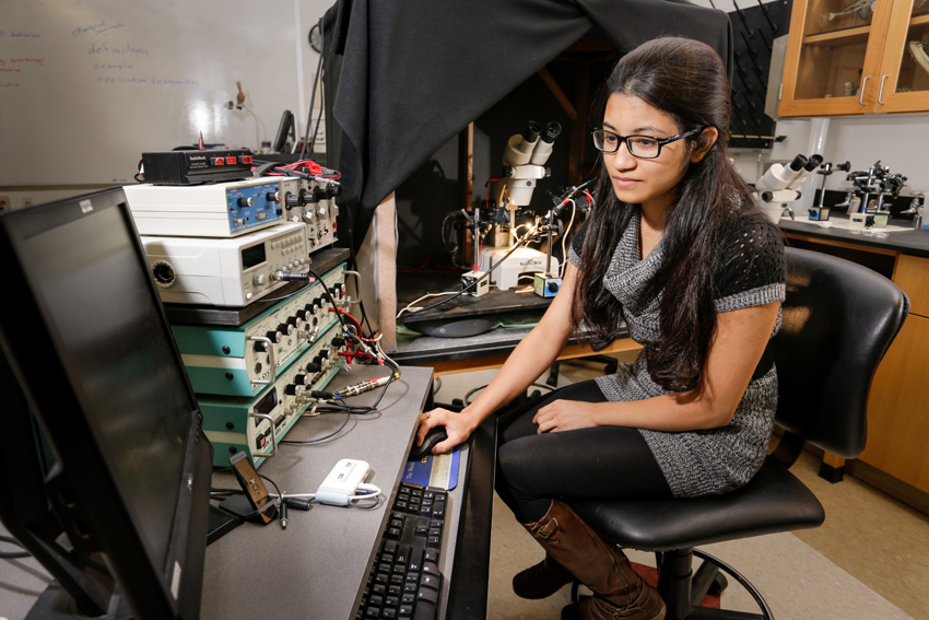 Student in the lab