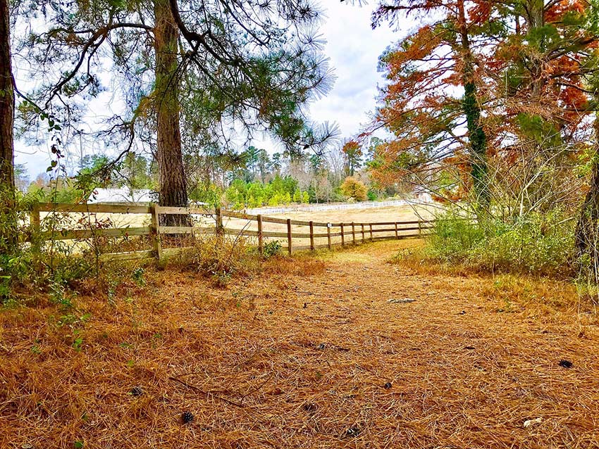 Equestrian fenc eline during fall season.