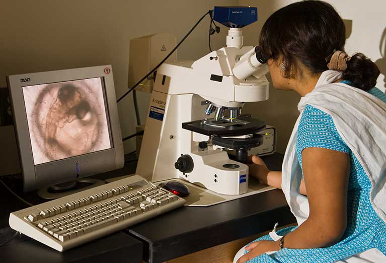 Student looks through microscope.