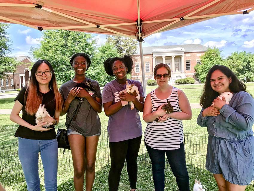 Students relax and pet visiting animals for a study break.